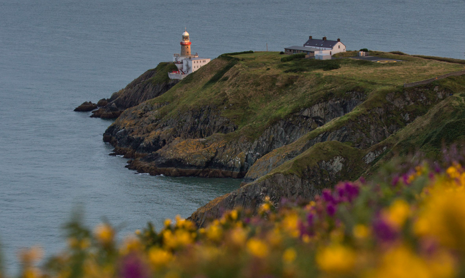 Howth Cliff Walk, County Dublin, Ireland